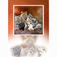 MAGNE-CARD GREETING CARD Young and Wild